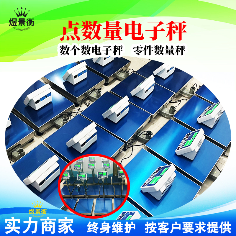 多功能计重计数电子秤功能参数与核心优势全面详细讲解