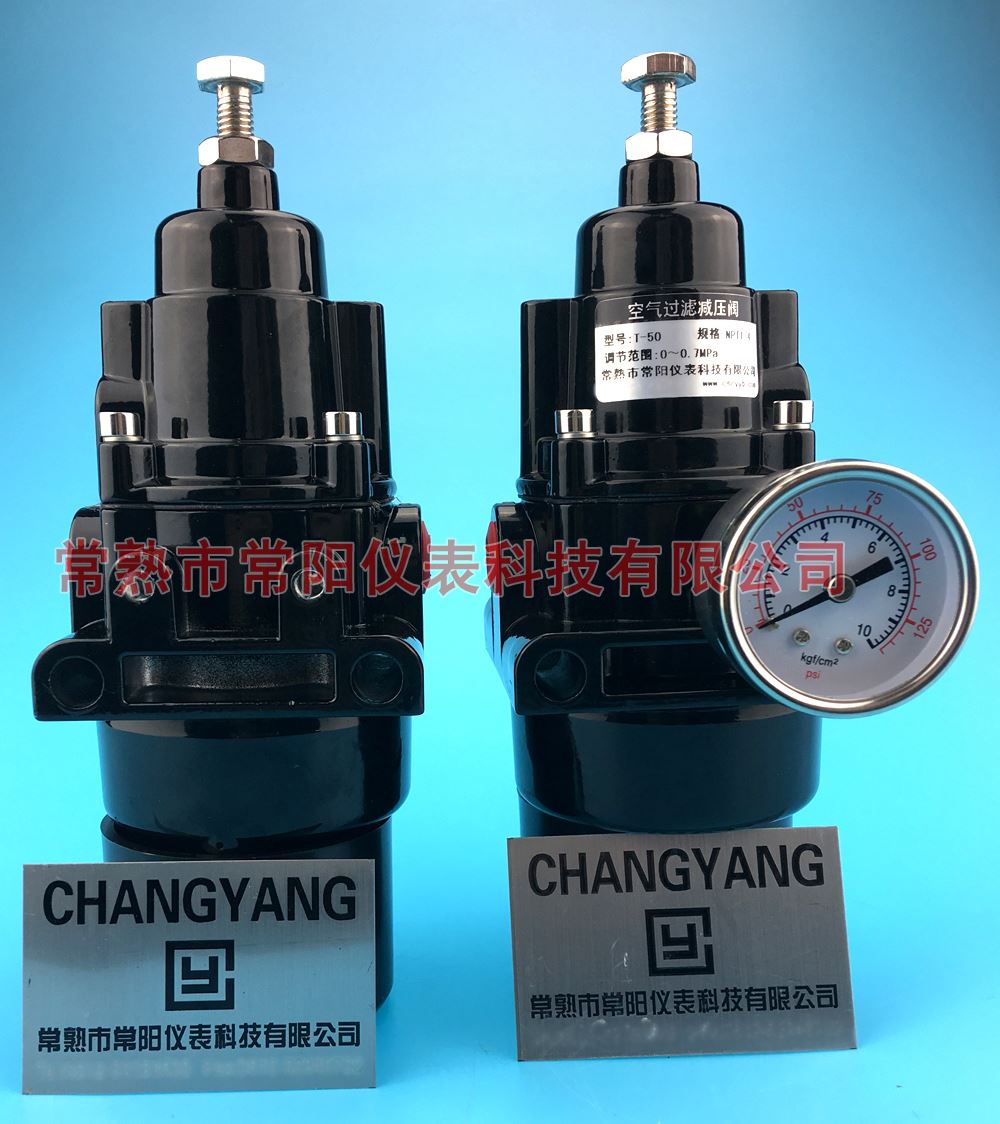T50,T-50, T-50,T50型過濾減壓調壓器,T50,T-50, T-50,T50過濾減壓閥