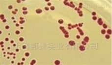 大腸菌群顯色培養(yǎng)基