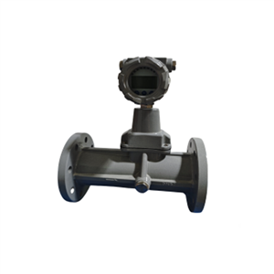 智能旋進旋渦流量計