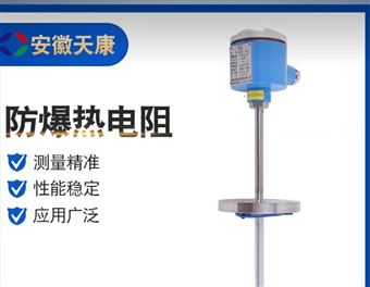 WRN-140天康防爆热电偶