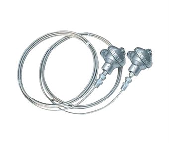 鎧裝式防爆鎧裝熱電阻