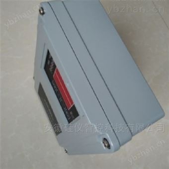 ZYB3072双通道振动监测仪  B-7