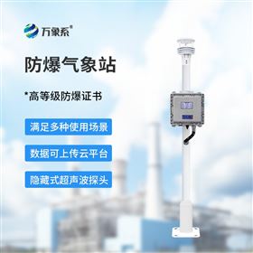 WX-FB01S液晶屏防爆气象站