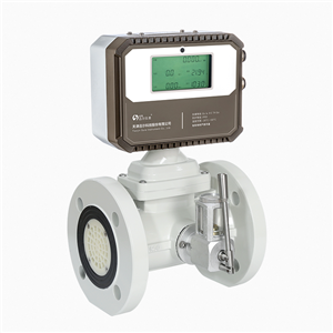 LWQ-T3型气体涡轮流量计