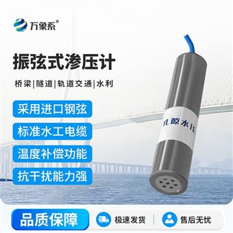 WX-SYJ1孔隙?壓?計