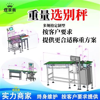 YJH-GS高精度检重秤 允差±0.1g动态在线称重设备