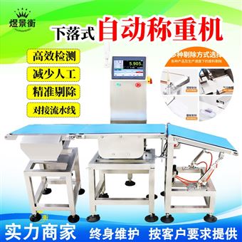 YJH-GS动态检重称 工业全自动流水线称重剔除机