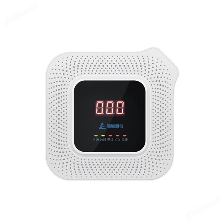 智能語音型雙氣體檢測儀*報警器