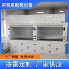 煙臺(tái)通風(fēng)柜廠家 實(shí)驗(yàn)臺(tái)邊臺(tái)落地通風(fēng)櫥供應(yīng)