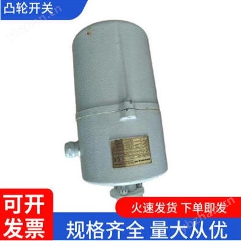 威圖 凸輪開關