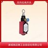 单端松绳拉绳控制器CHW53198A拉绳开关