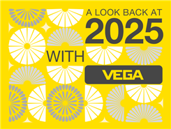 2025年的最后一天，回看 VEGA 这一年的精彩瞬间
