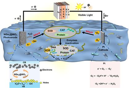 合肥工業大學在金屬鹵化物鈣鈦礦太陽能電池領域取得新進展