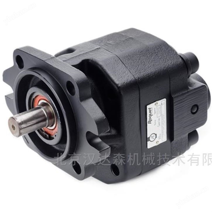 ROQUET齒輪泵1GM18C