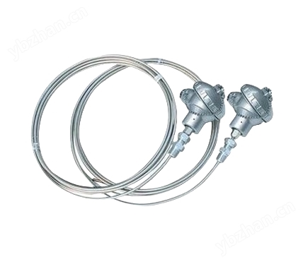 铠装式防爆铠装热电阻