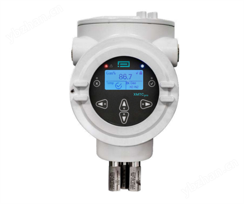 热导二元气体分析仪