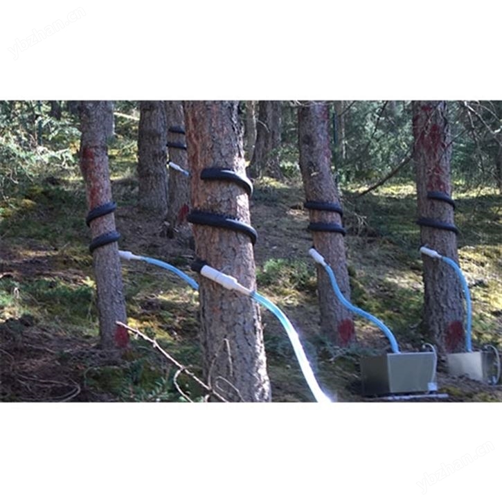 树干截留采集仪