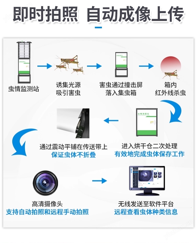 農(nóng)業(yè)監(jiān)測蟲情測報儀