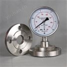 双膜片压差压力表