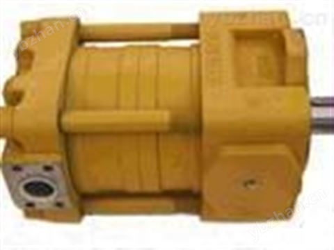 德国BRUENINGHAUS泵、BRUENINGHAUS活塞泵 气体传感器