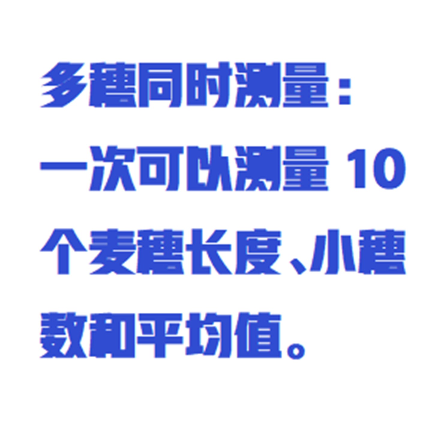 小麦表型检测系统型号:ZXXMBX-2库号:M358488