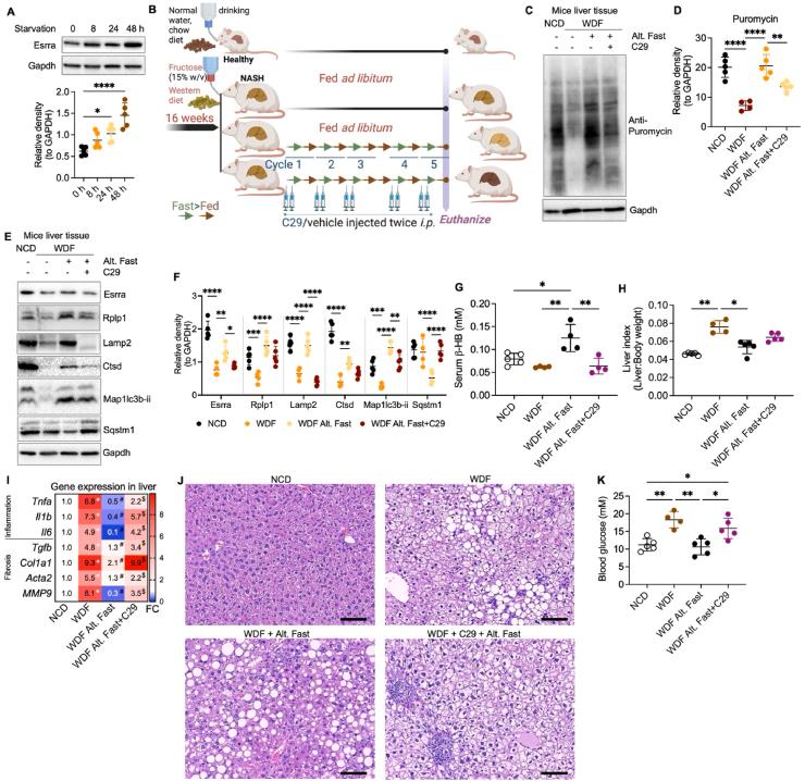 WPS图片(14).jpeg WPS图片(14).jpeg