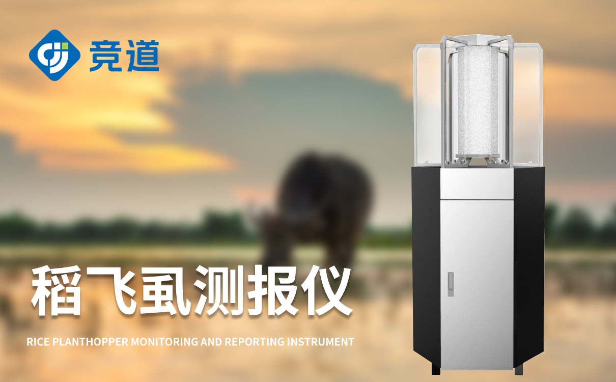 防治稻飞虱 防治稻飞虱
