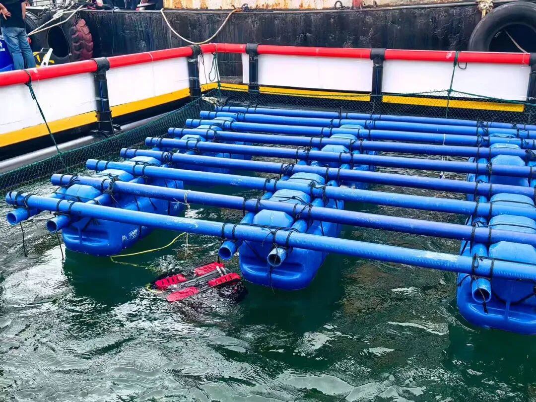 央视新闻、凤凰新闻报道！