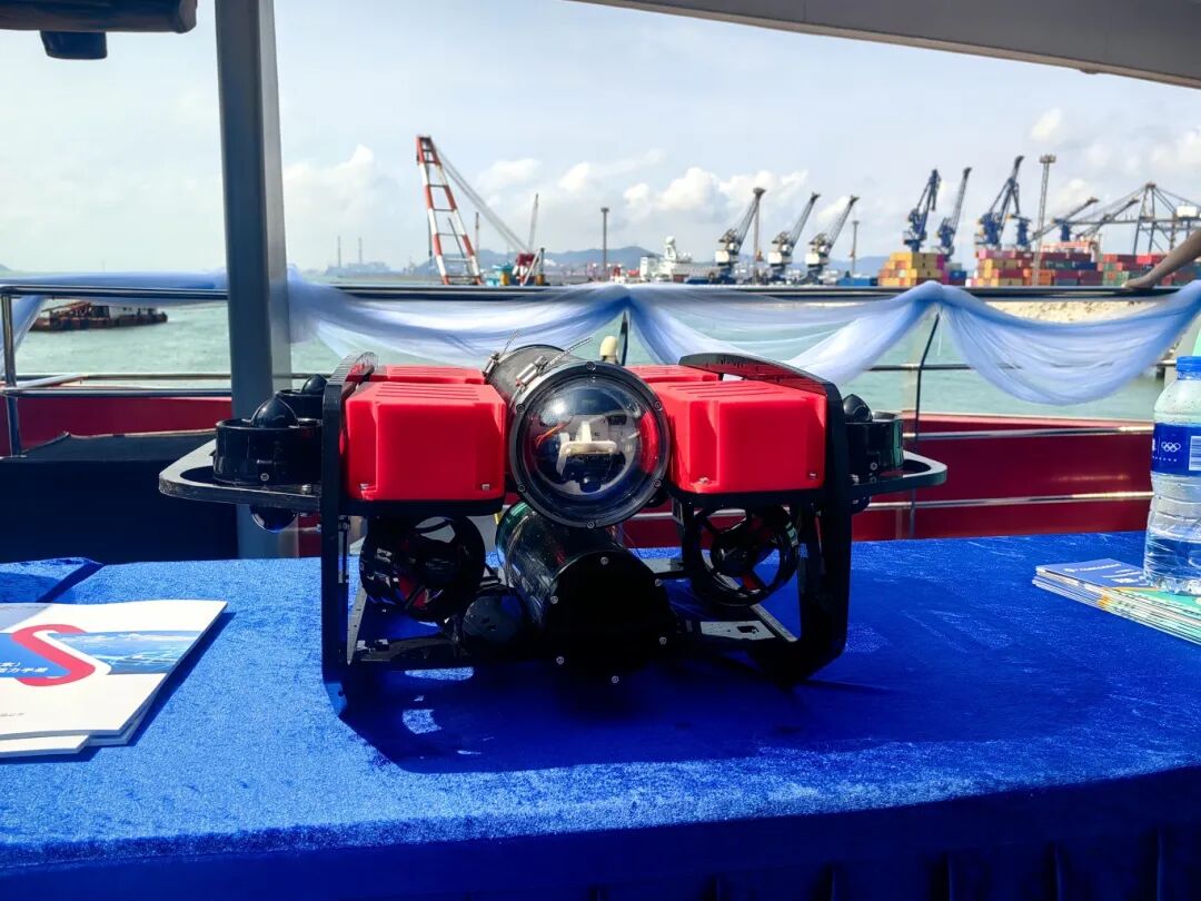 央视新闻、凤凰新闻报道！