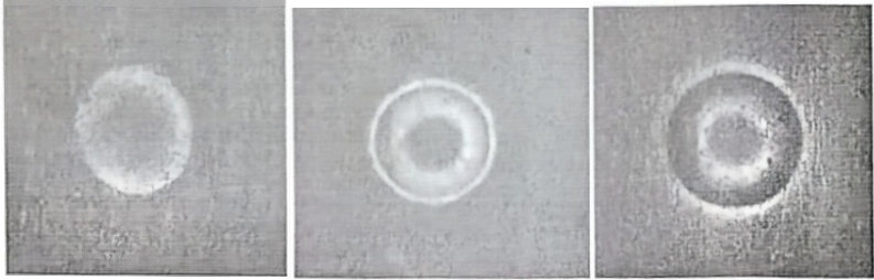 基于圖像識(shí)別技術(shù)的電動(dòng)工具視覺檢測(cè)系統(tǒng)構(gòu)建與應(yīng)用研究