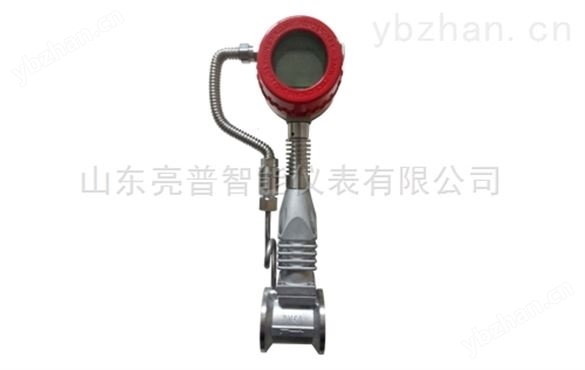 現(xiàn)場(chǎng)顯示渦街流量計(jì)