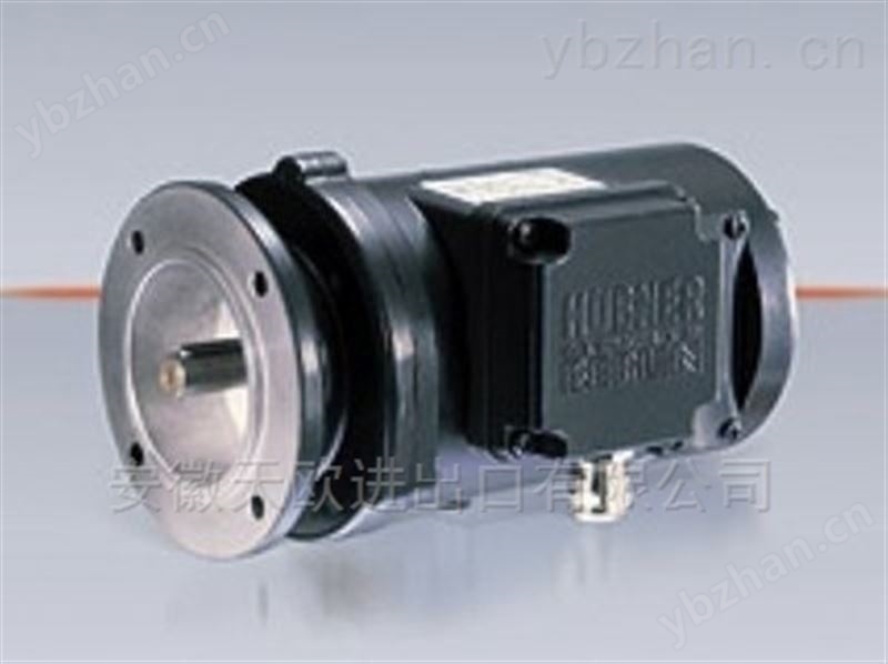 HUBNER編碼器OG9DN10  155616410-工業編碼器