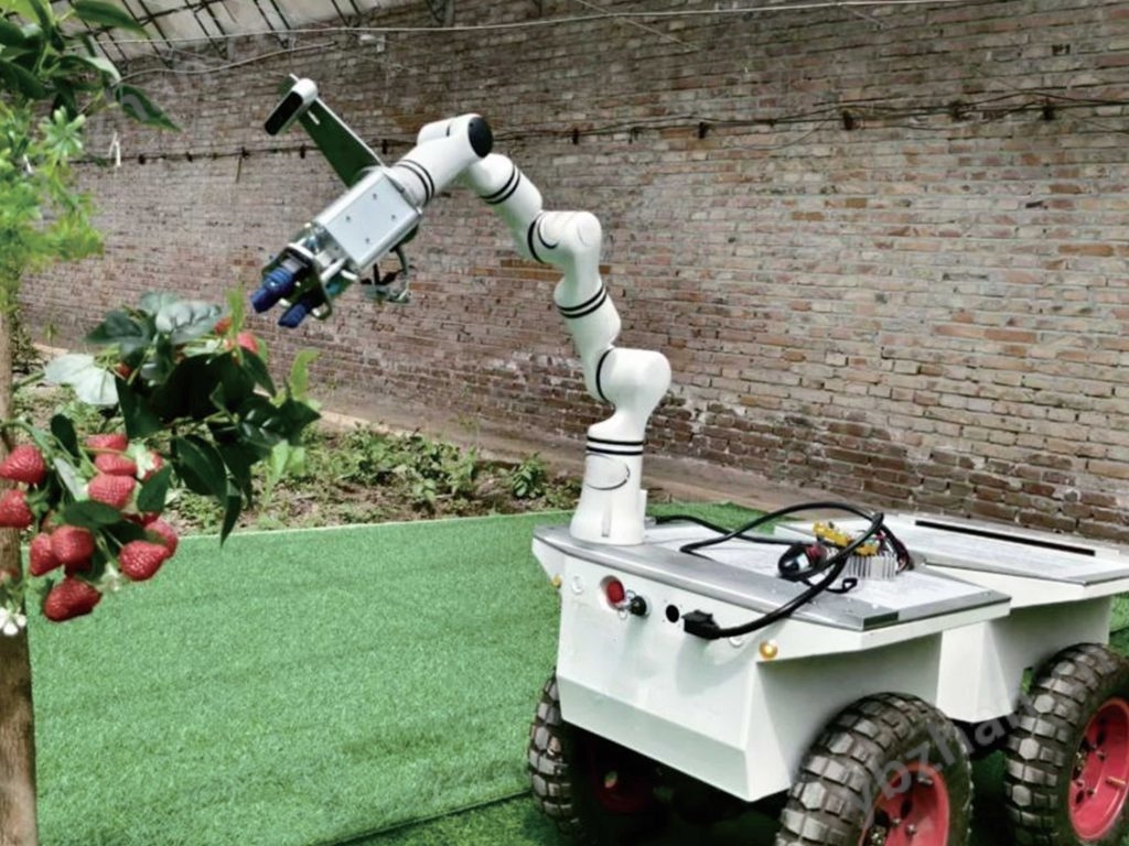 高精度水果采摘机器人