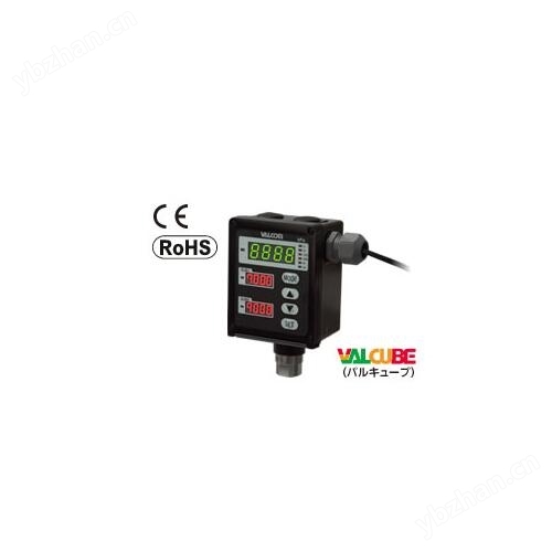 VALCOM圆形数字压力计VPMCA5B22