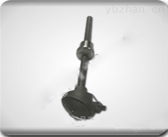 防腐法蘭鉑熱電阻