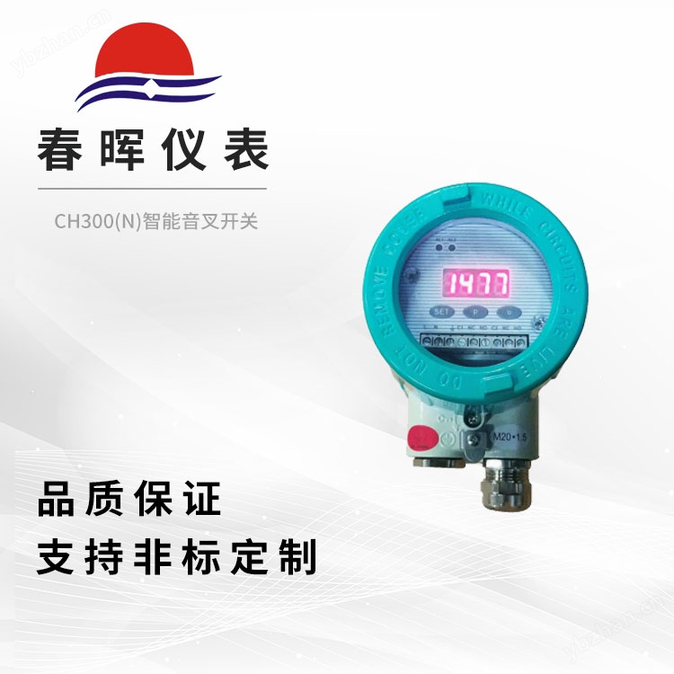 CH300(N)智能音叉开关