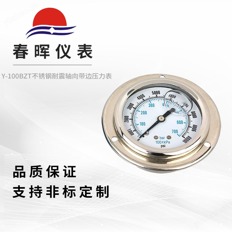 Y-100BZT不锈钢耐震轴向带边压力表