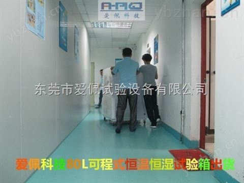 電子測試濕熱老化箱 恒溫恒濕試驗箱 恒溫恒濕試驗箱排行榜