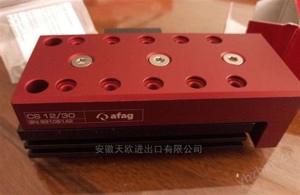 AFAG氣缸11011897,Linearmodul LM 25/200