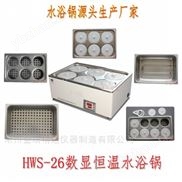雙列六孔電熱恒溫水浴鍋