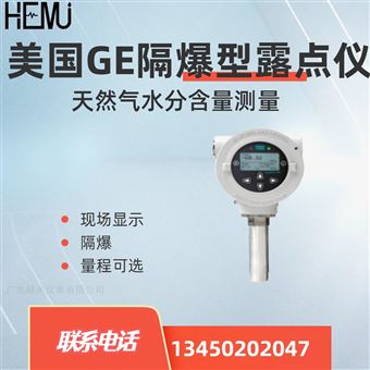 美国Panametrics HygroPro XP露点变送器