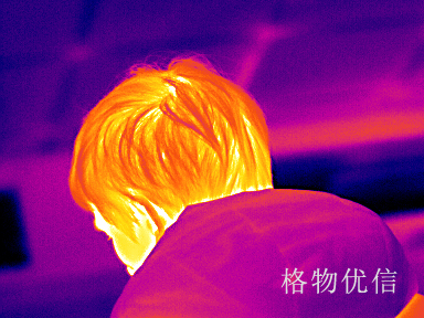 紅外熱像儀價格購買攻略